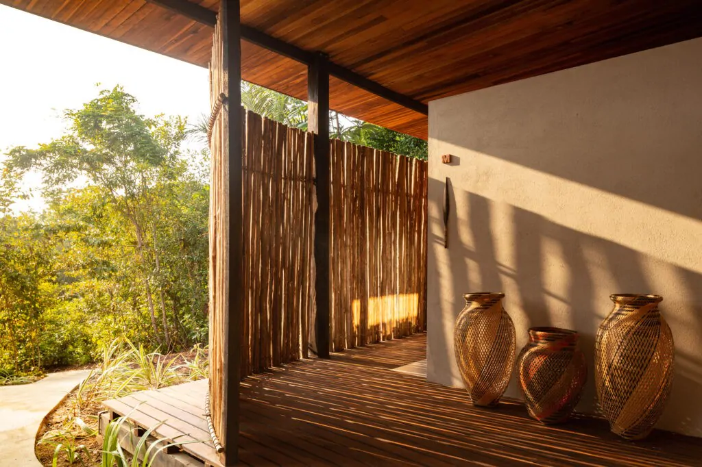 200824_Anavilhanas_341-1024x682