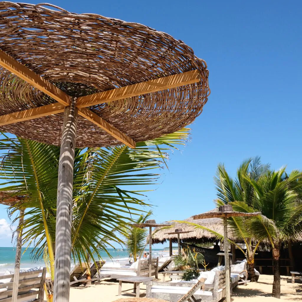 47060459654_a2f75a3d83_o-1024x1024