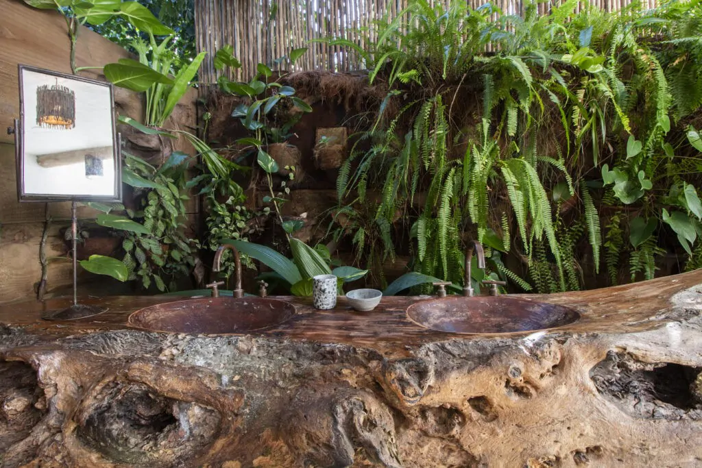 50121436602_f40785e7f0_o-1024x683