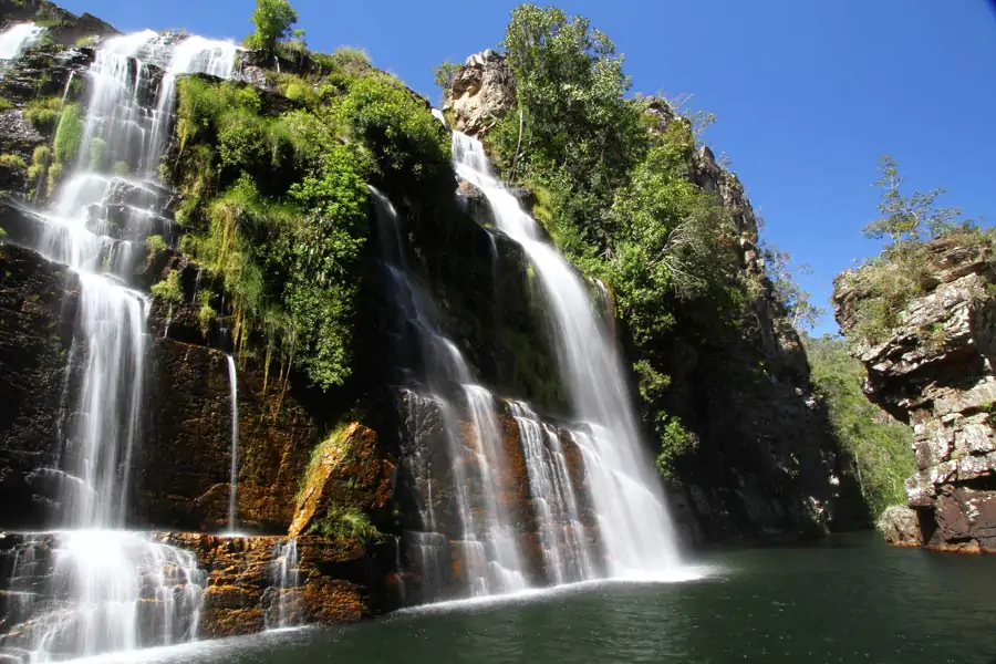 dryp2dUZL5jd1mfKZtokcoLA (1)