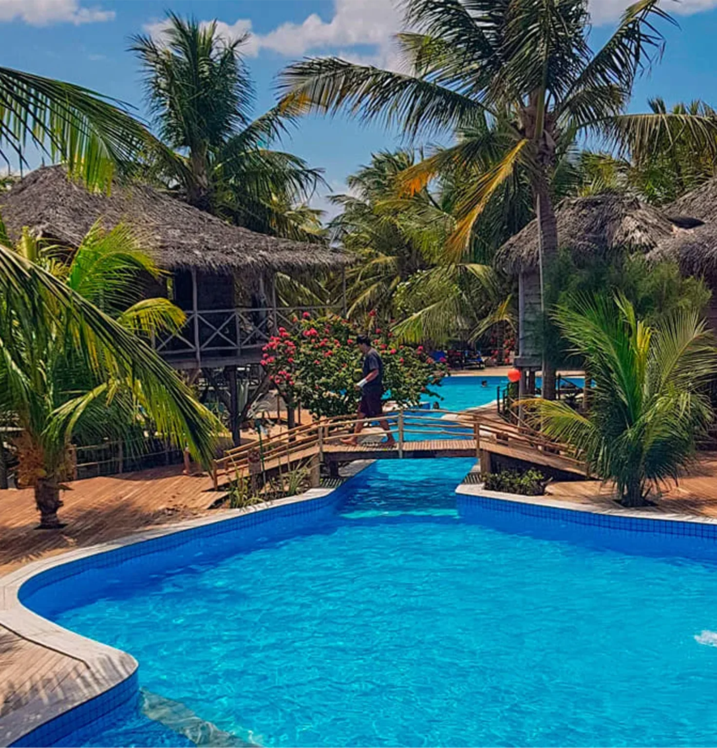 pexels-merilisdayoff-20083426-11ddd-1-1472x1536