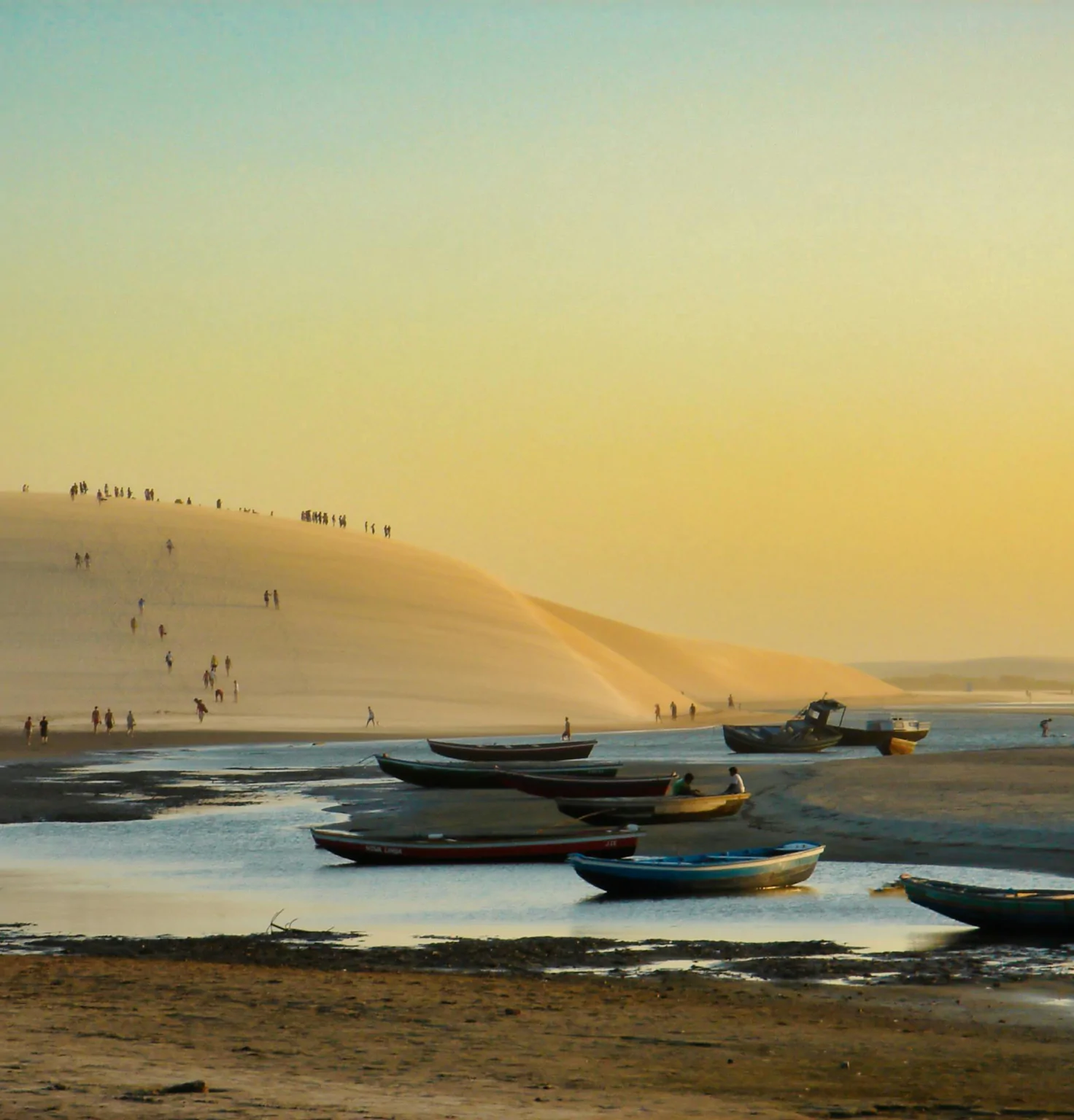 pexels-merilisdayoff-20083426-15ddd-1-1472x1536