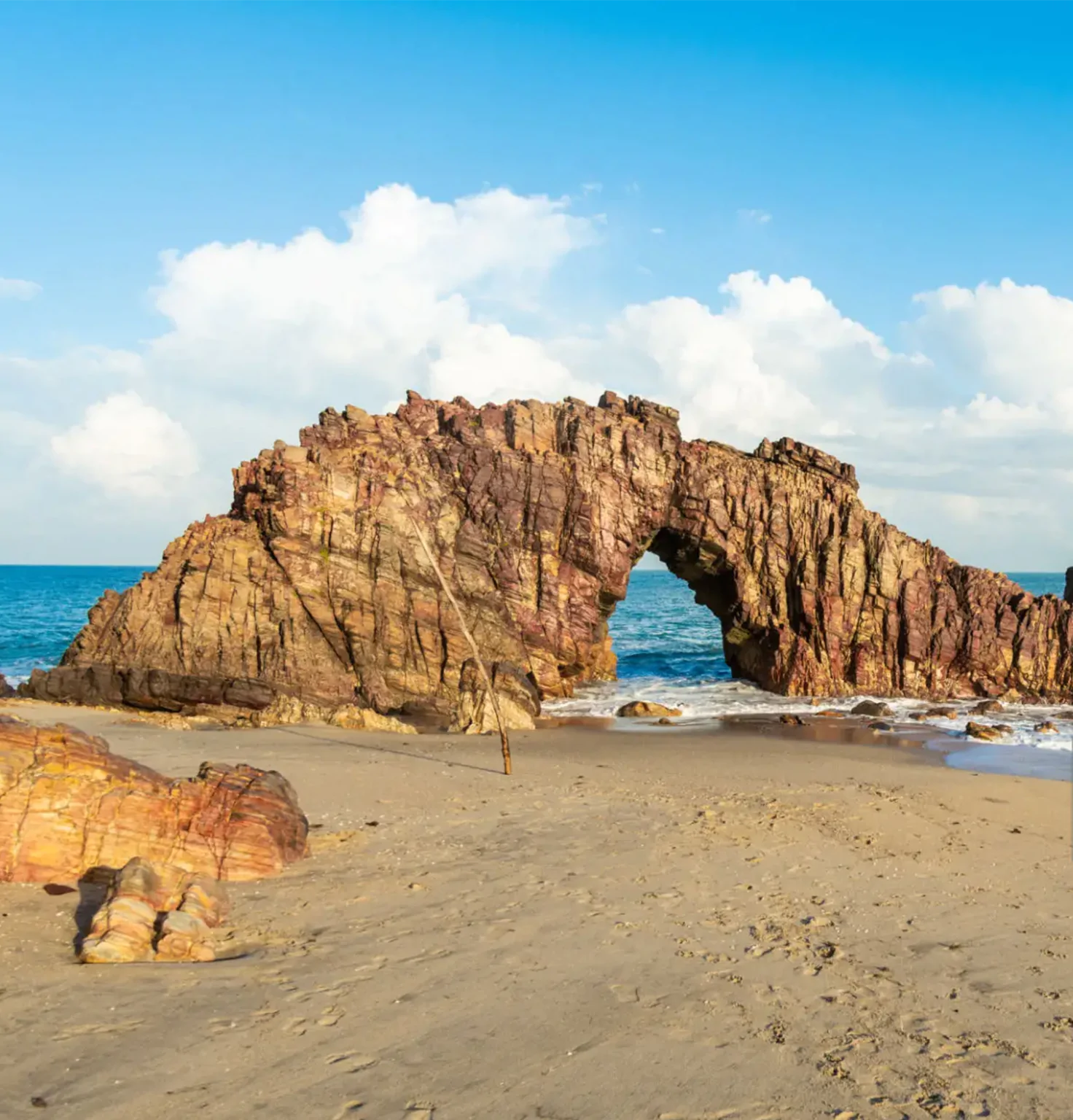 pexels-merilisdayoff-20083426-17ddd-1-1472x1536