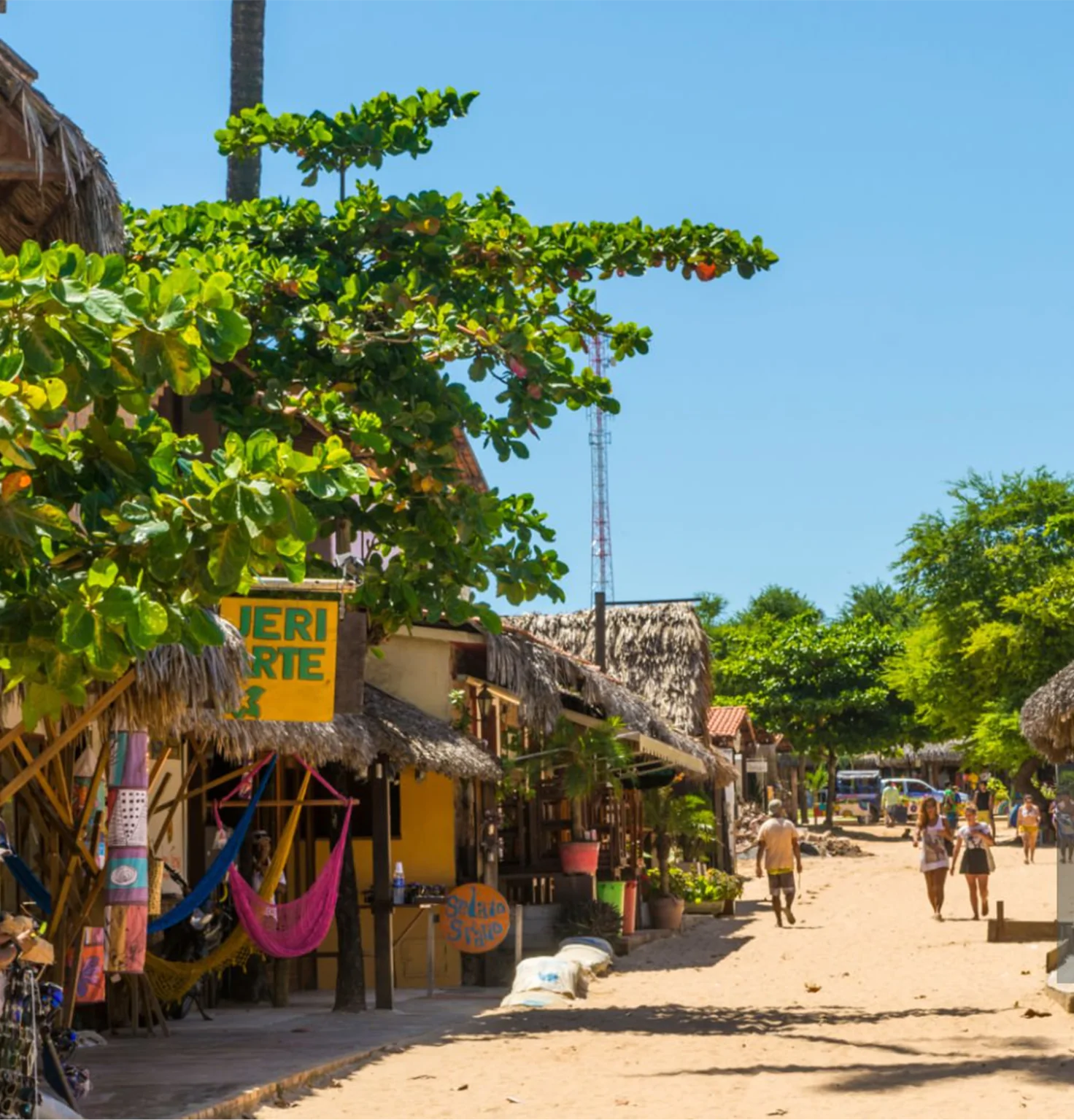 pexels-merilisdayoff-20083426-18ddd-1-1472x1536