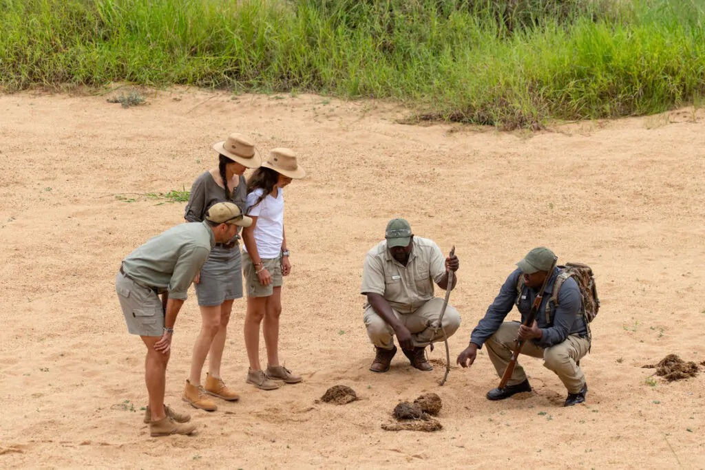 1751878930672_Bush-walk-3-1024x683