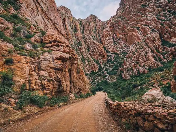 2_10_26_Africa_do_Sul_África do Sul_ Do Veld ao Vinho