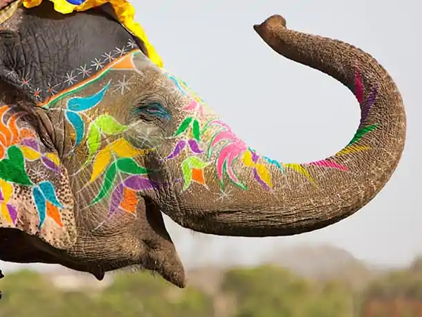 5_03_26_India_Plural TGK