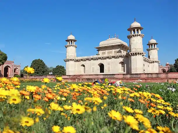 8_03_26_India_Plural TGK