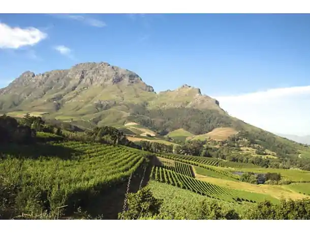 8_10_26_Africa_do_Sul_África do Sul_ Do Veld ao Vinho