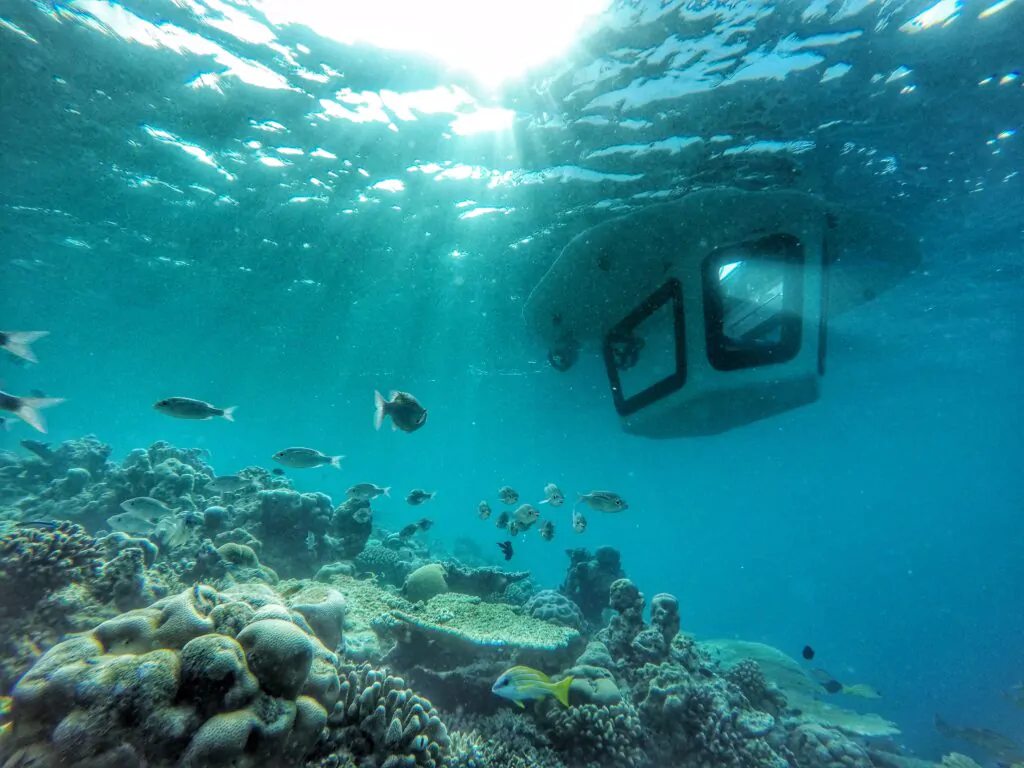 Penguin-1-1-1024x768