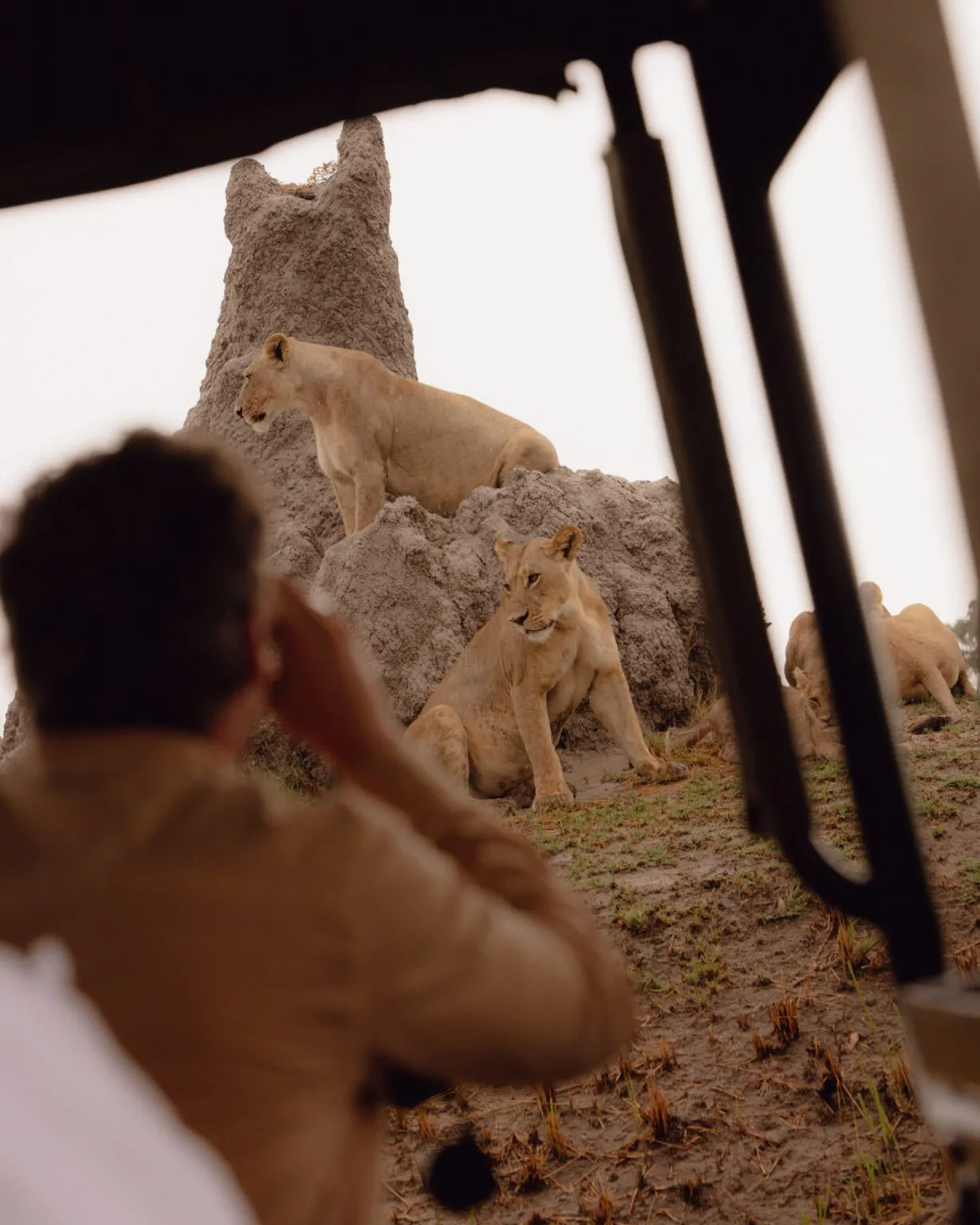 SAF-LEIS-250725-05-1229x1536