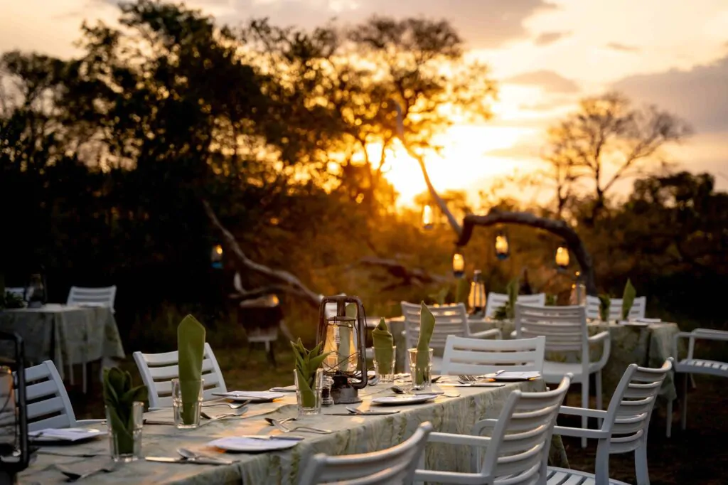 Thornybush-Game-Lodge-Bush-Dinner-8-1024x682