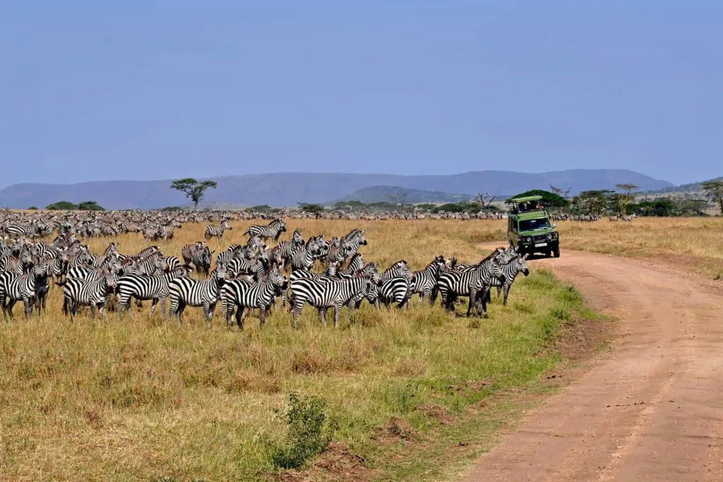 oleserailuxurycamp4-1024x683