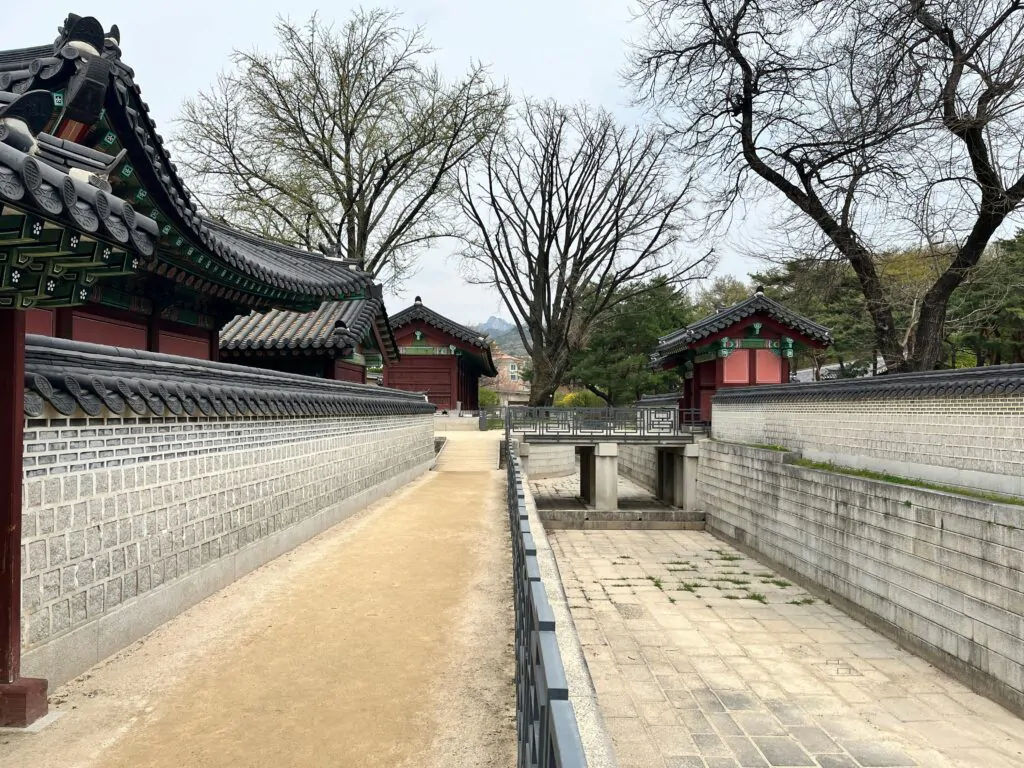 pexels-free-video-korea-36420871-31593703-1024x768