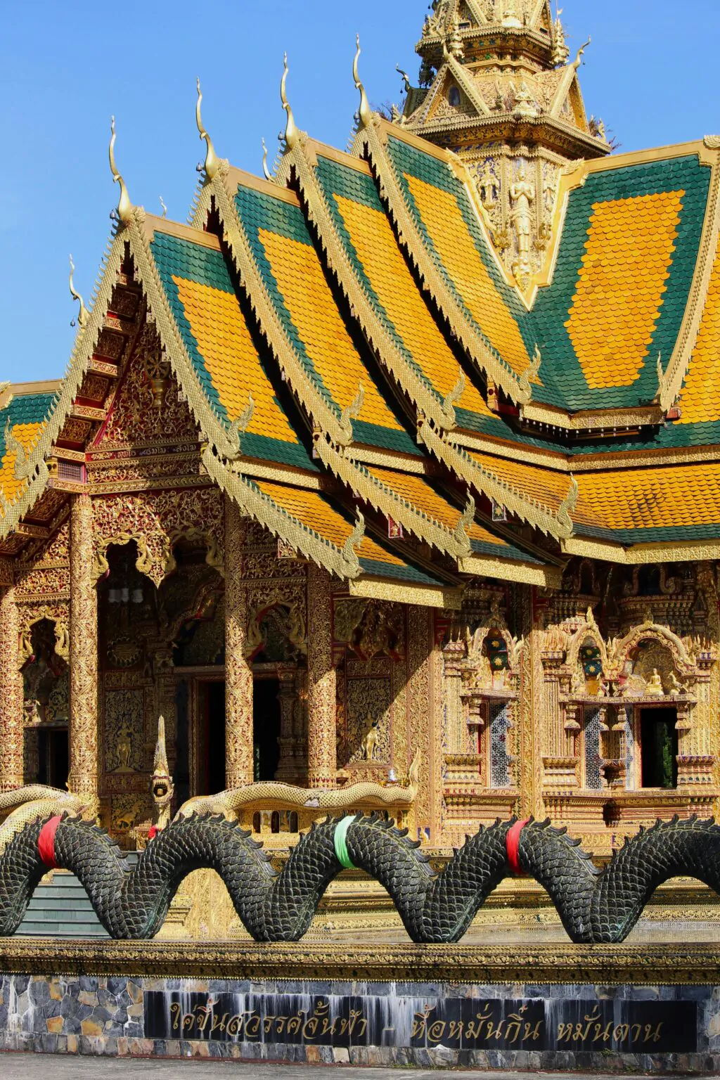 pexels-serinus-23369924-1024x1536