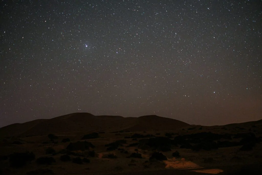 photo-1654330352875-1f86a5b011cf-1024x683