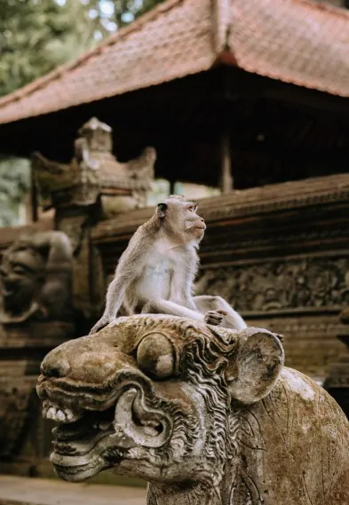 Singapura_17
