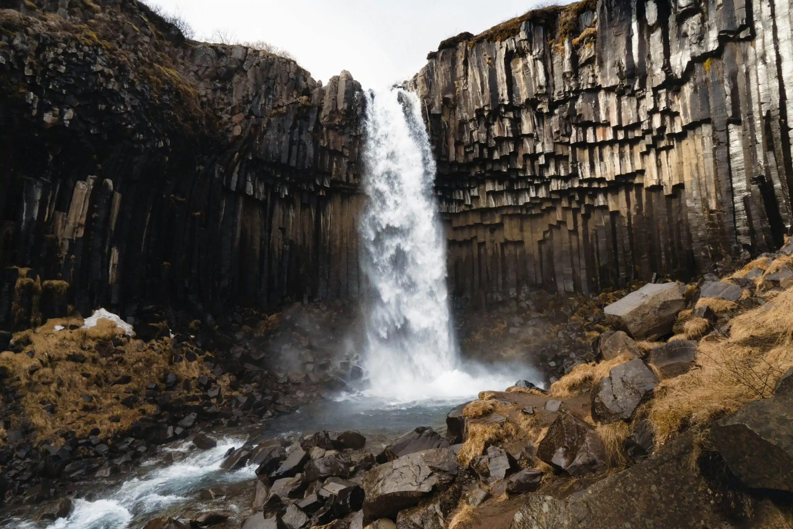 yvon-hoogers-e0YOht7NgyE-unsplash-scaled